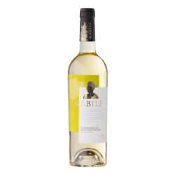 Kabile Chardonnay&Sauvignon Blanc 750ml 13% Kabile Chardonnay&Sauvignon Blanc 750ml 13%